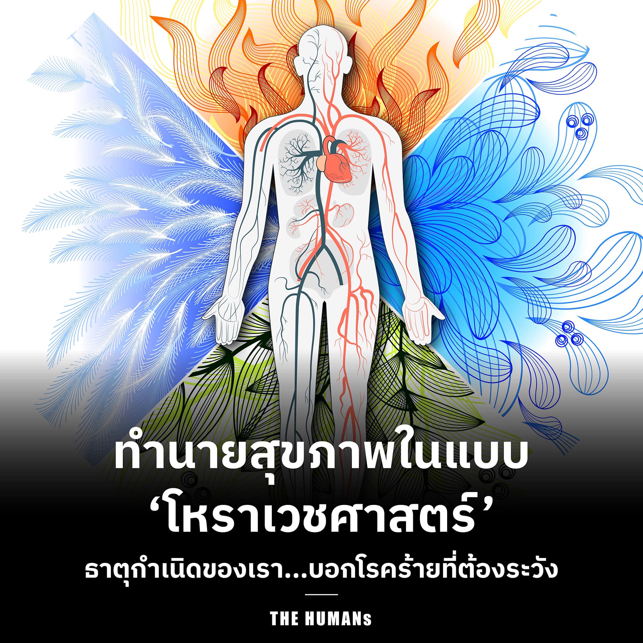 ทำนายสุขภาพในแบบโหราเวชศาสตร์ ธาตุกำเนิดของเรา…บอกโรคร้ายที่ต้องระวัง